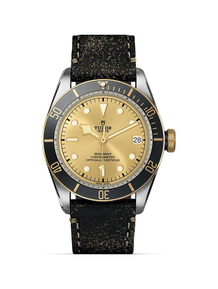 Tudor Herrenuhr Black Bay S&G M79733N-0003