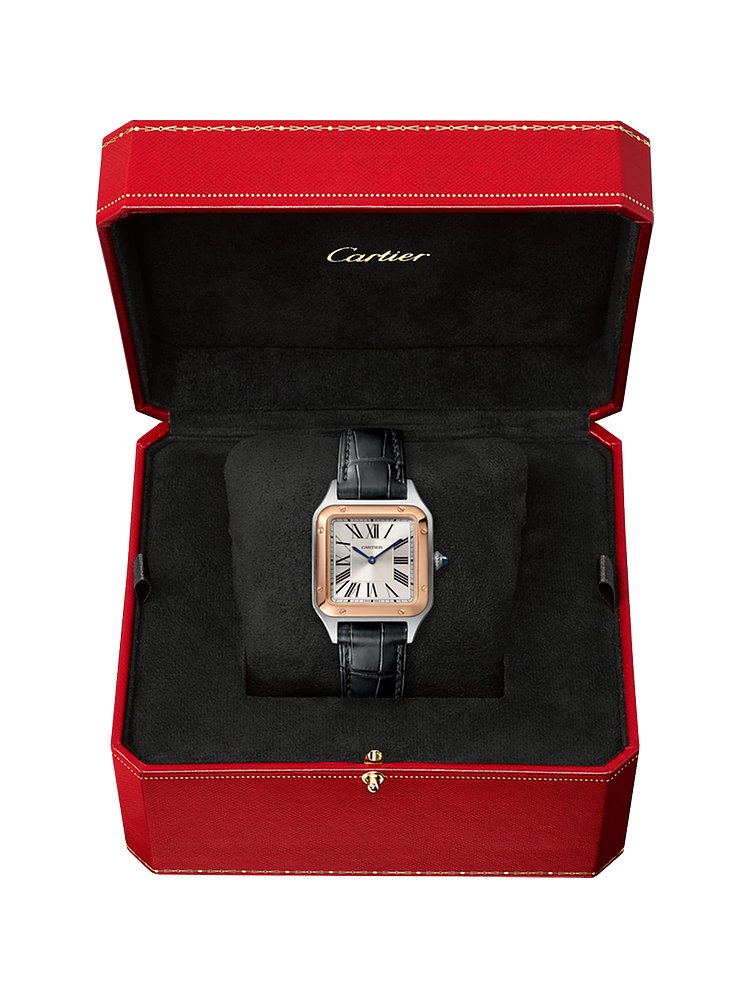 Cartier Unisexuhr Santos-Dumont W2SA0012