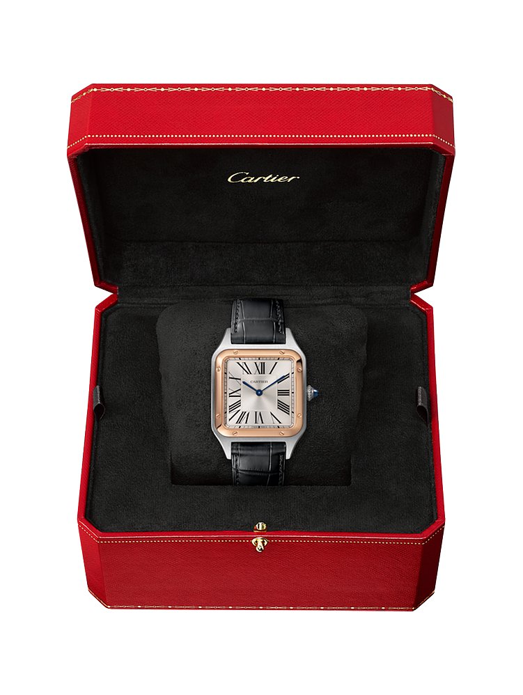 Cartier Unisexuhr Santos-Dumont W2SA0011
