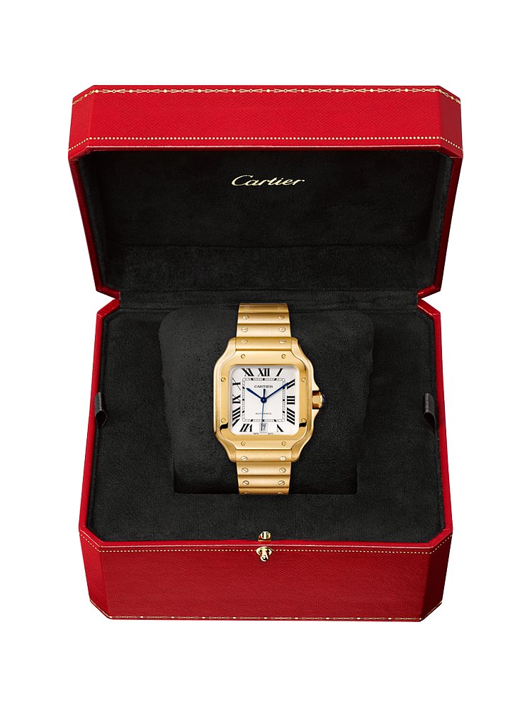 Cartier Herrenuhr Santos de Cartier WGSA0030