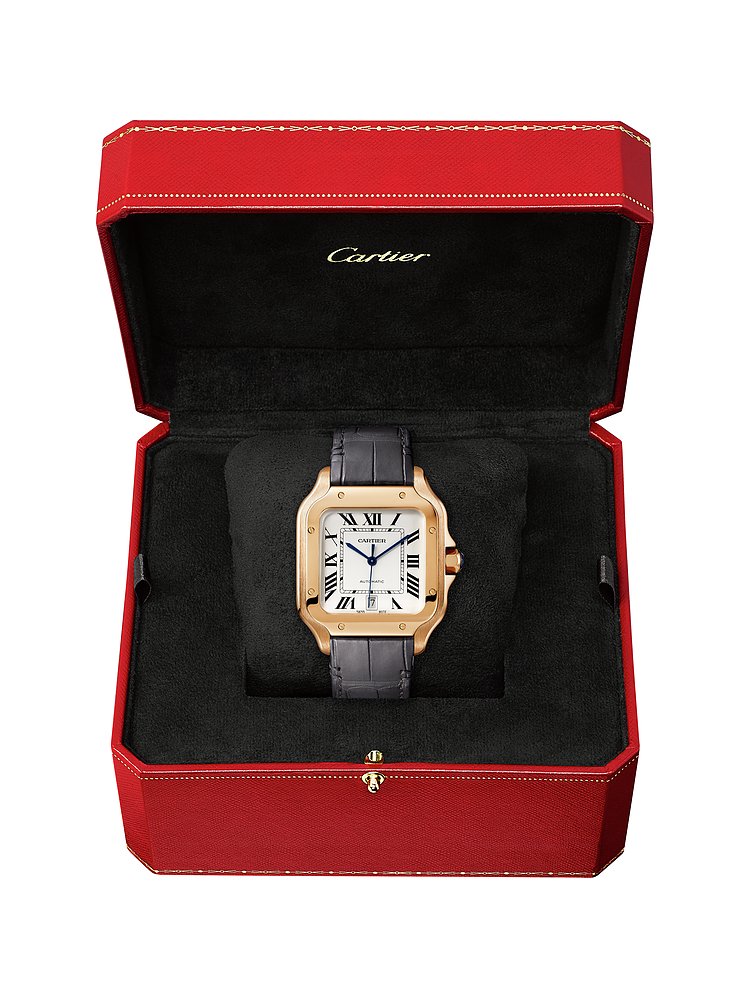 Cartier Herrenuhr Santos de Cartier WGSA0019