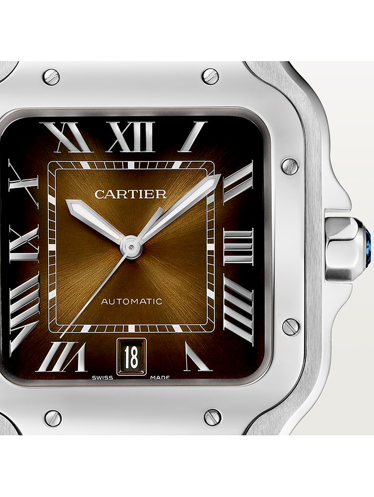 Cartier Herrenuhr Santos WSSA0064