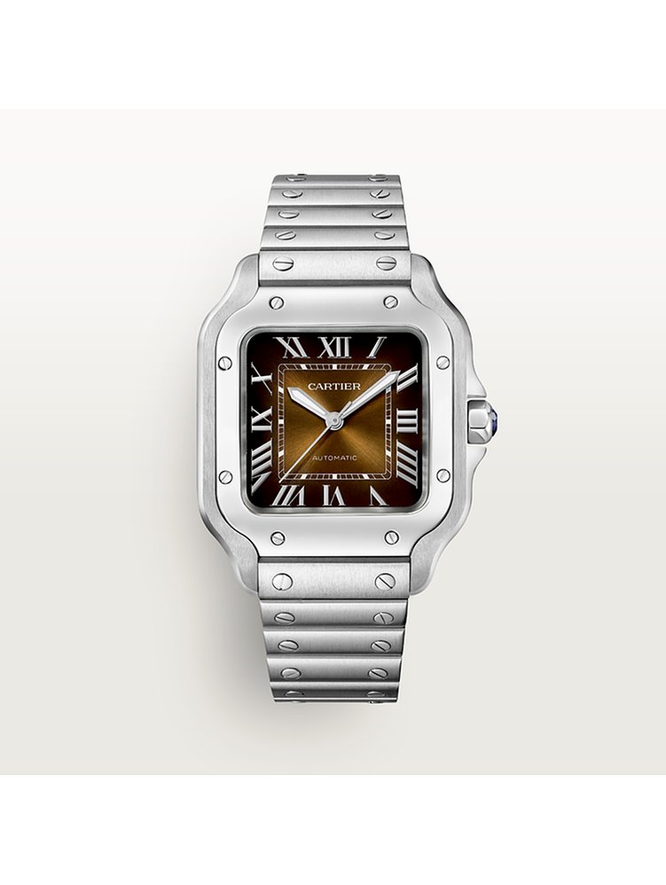 Cartier Herrenuhr Santos WSSA0065