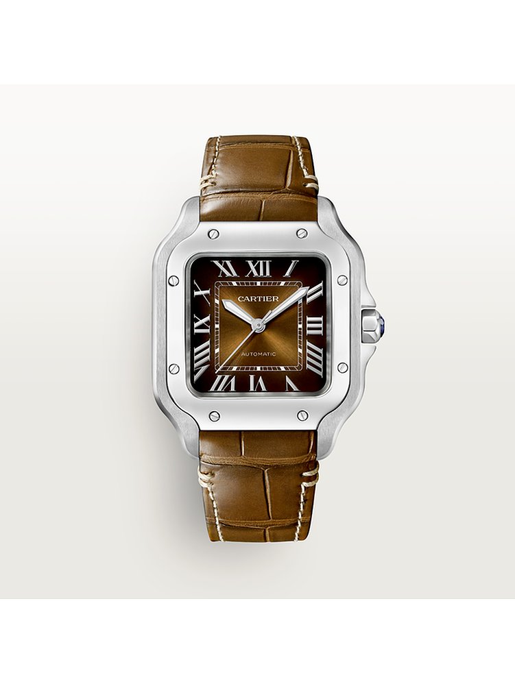 Cartier Herrenuhr Santos WSSA0065