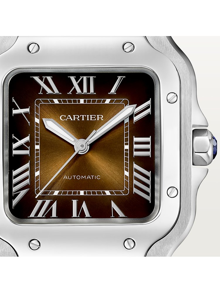 Cartier Herrenuhr Santos WSSA0065