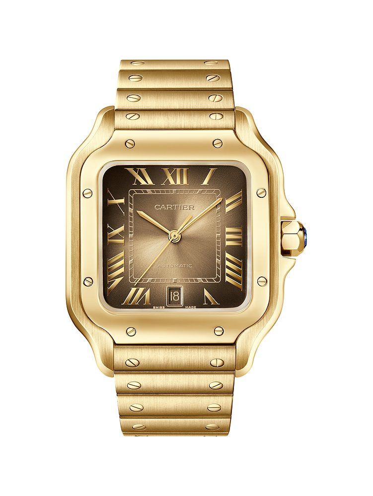 Cartier Cartier Herrenuhr Santos WGSA0095