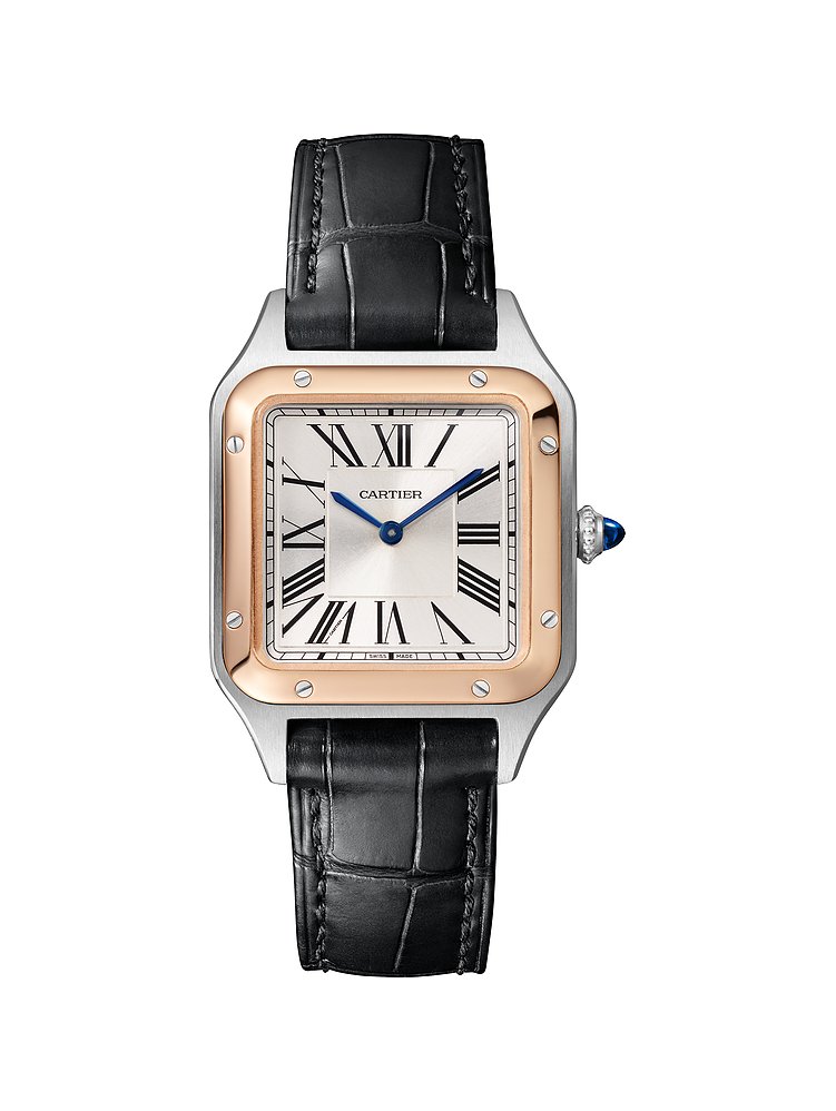 Cartier Cartier Damenuhr Santos Dumont W2SA0038