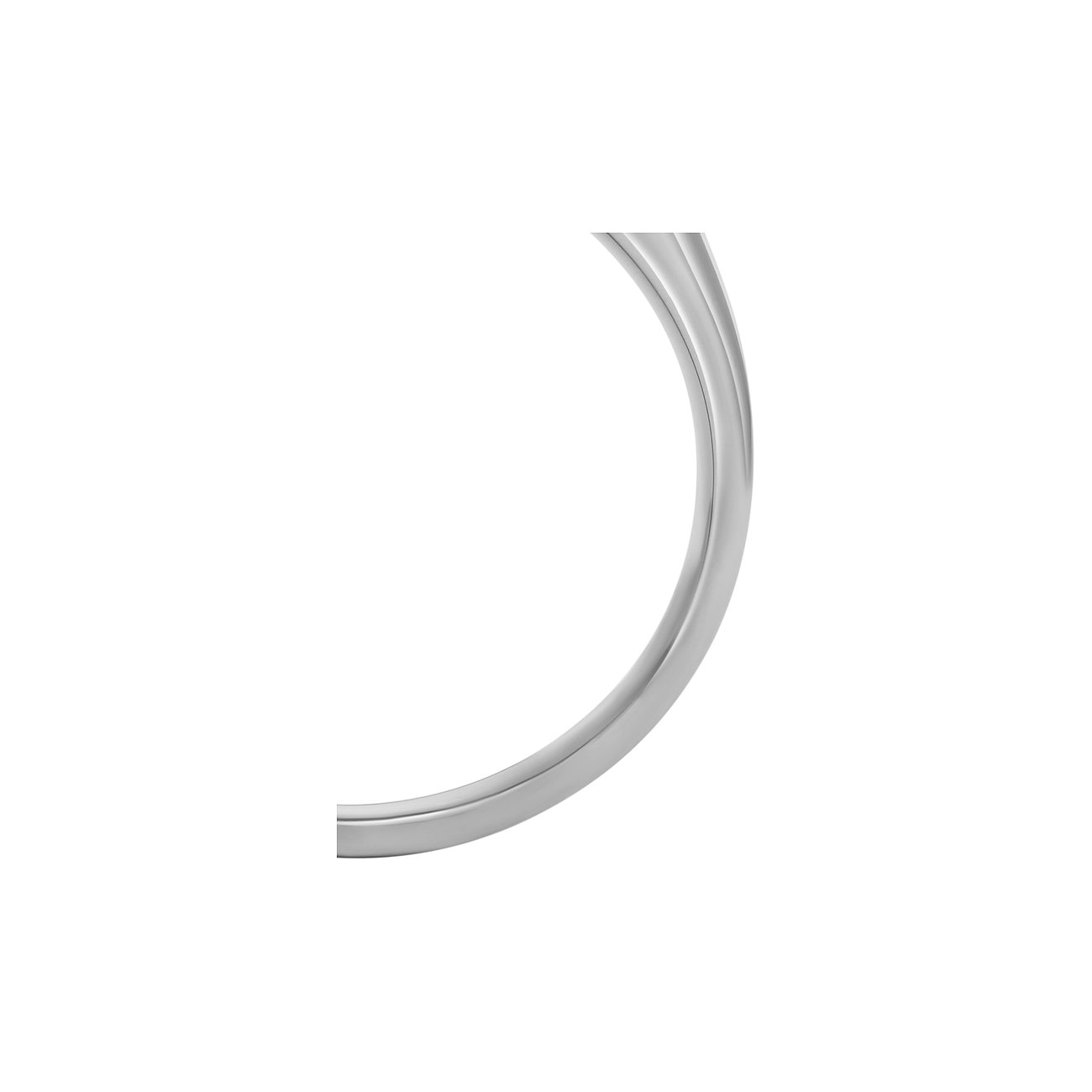 Fossil Ring aus Edelstahl, schlichtes Design.