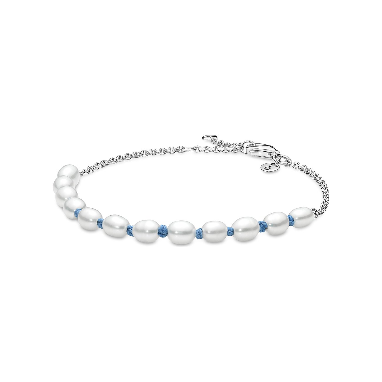 Pandora Armband Moments