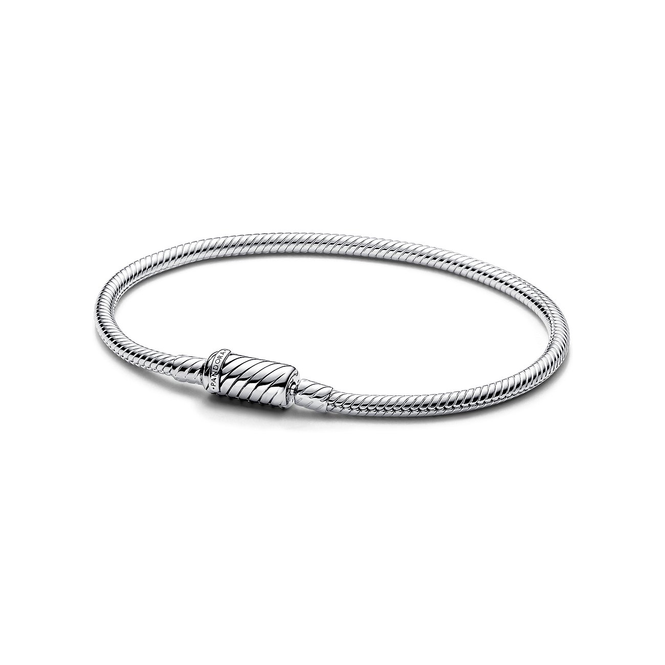 Pandora Armband Moments