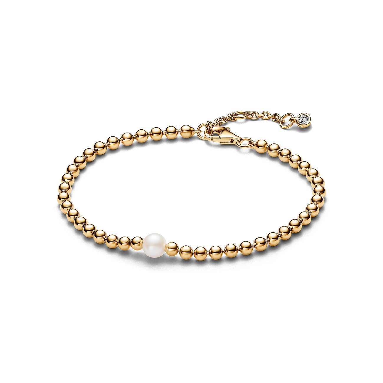 Pandora Armband Pandora Timeless