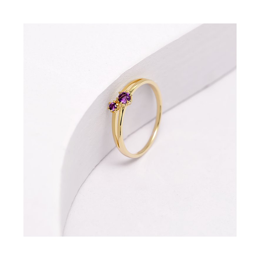 Eleganter Ring aus 375er Gelbgold mit zwei leuchtenden Amethysten in einem modernen Design.