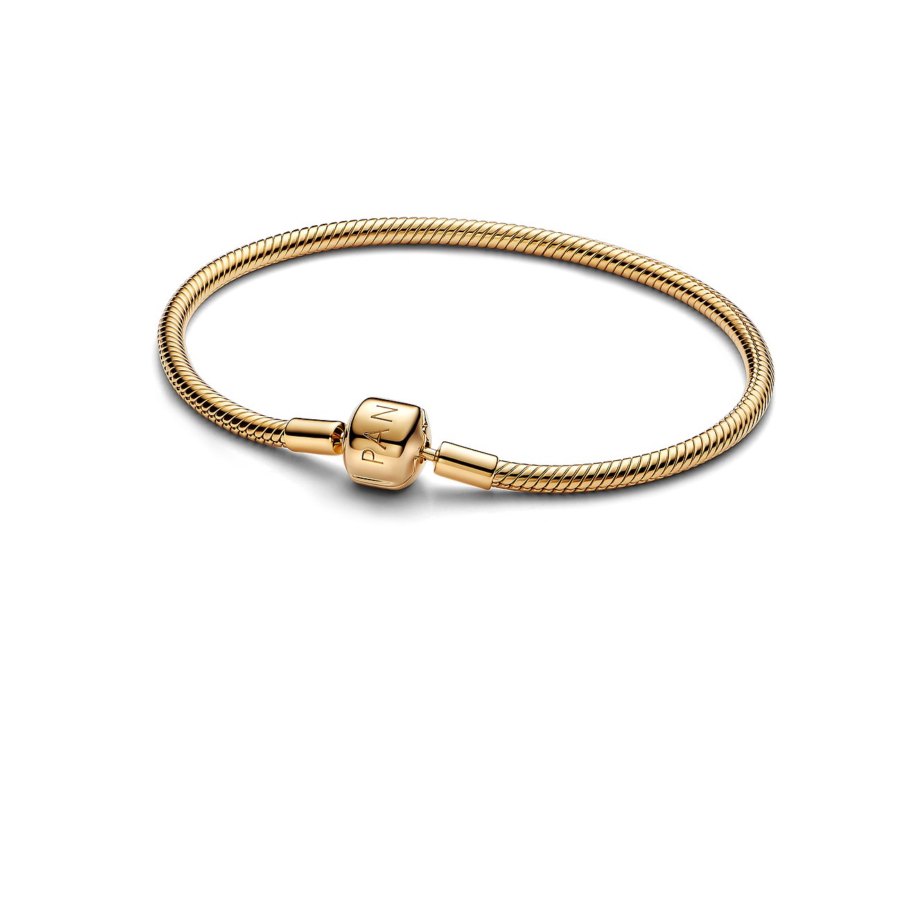 Pandora Armband Moments