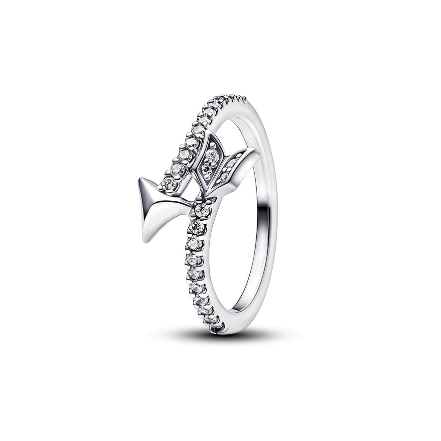 Pandora Damenring Love 193619C01-54