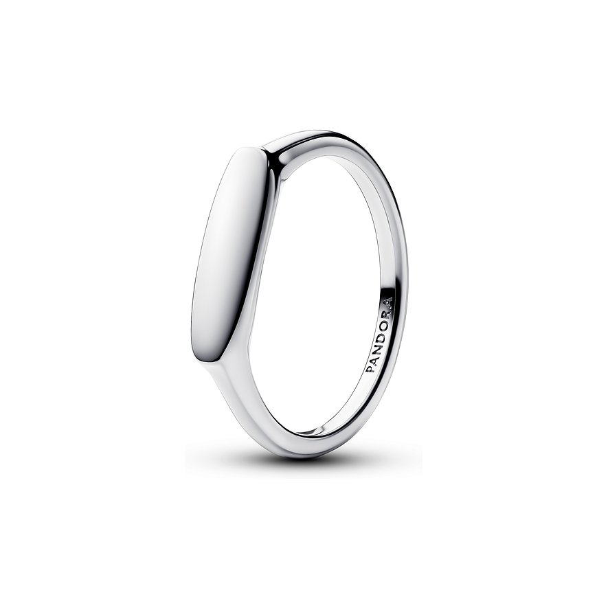 Pandora Damenring Moments 193986C00-56