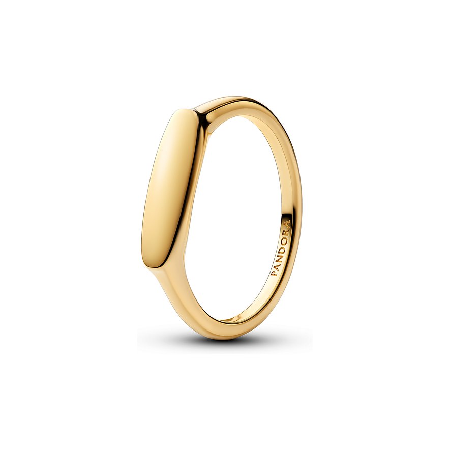 Pandora Damenring Moments 163986C00-58