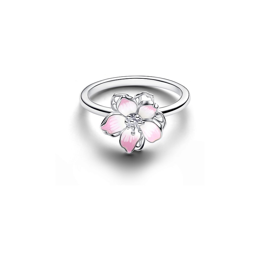 Pandora Damenring Moments 194371C01-58