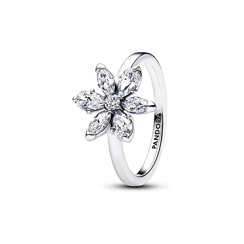Pandora Ring aus 925er Silber mit einer Blume aus herzförmigen Zirkonia in der Mitte auf weißem Hintergrund.