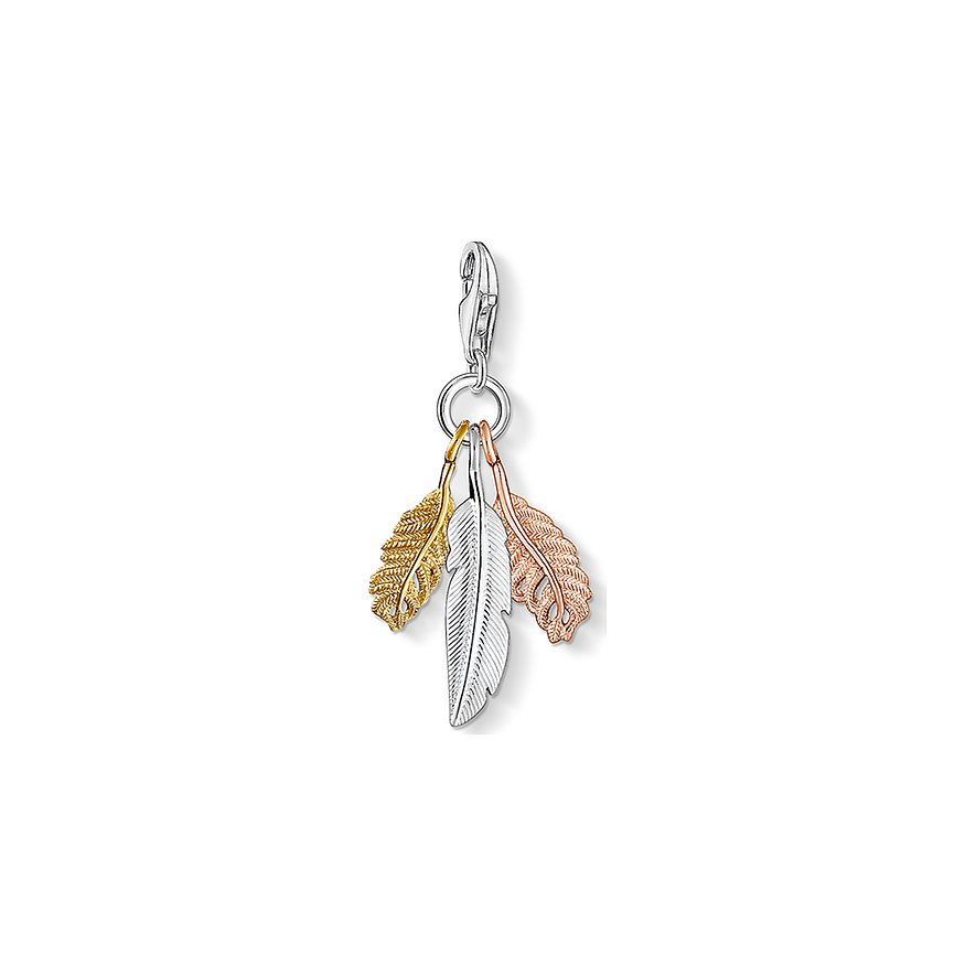 

Thomas Sabo Charm Sterling Silver 1010-431-12
