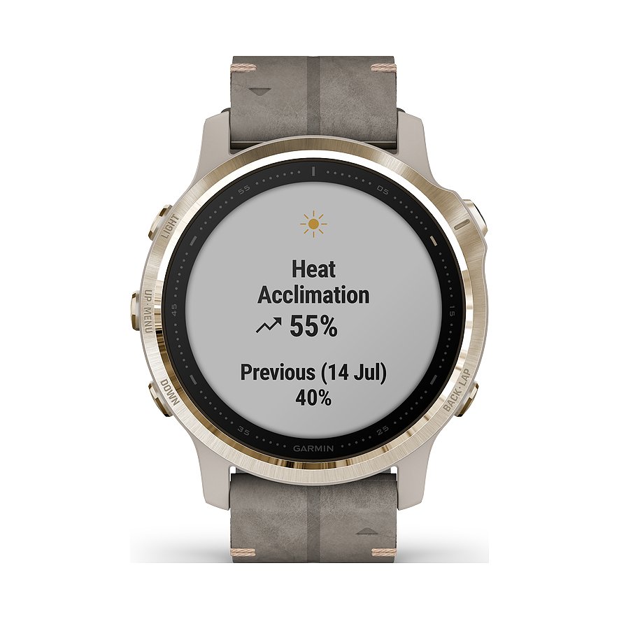 Garmin Smartwatch Fenix 6S 010-02159-40