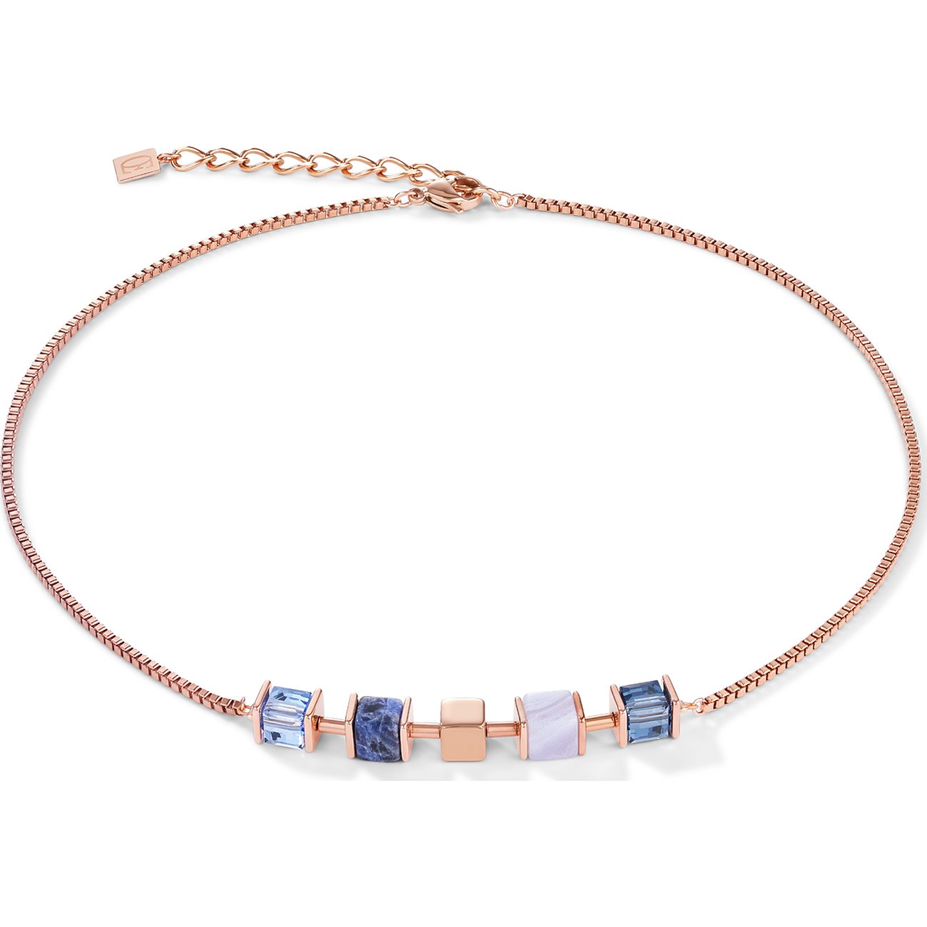 Spannende Kette Von Coeur De Lion Bild