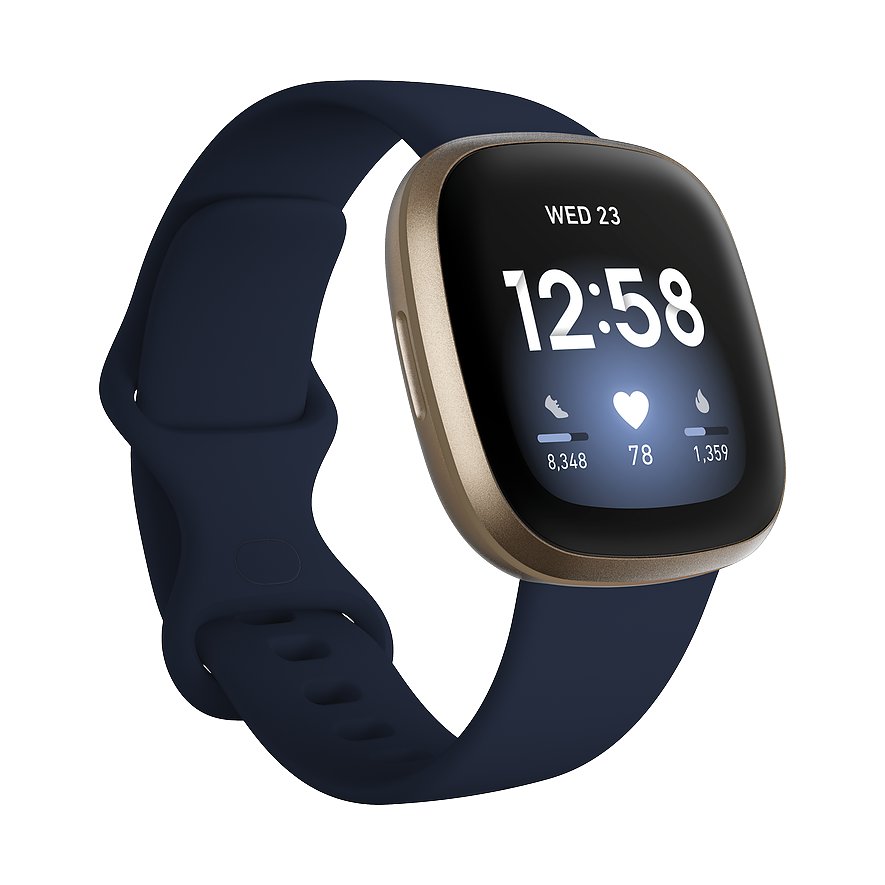 Fibit Smartwatch FB511GLNV