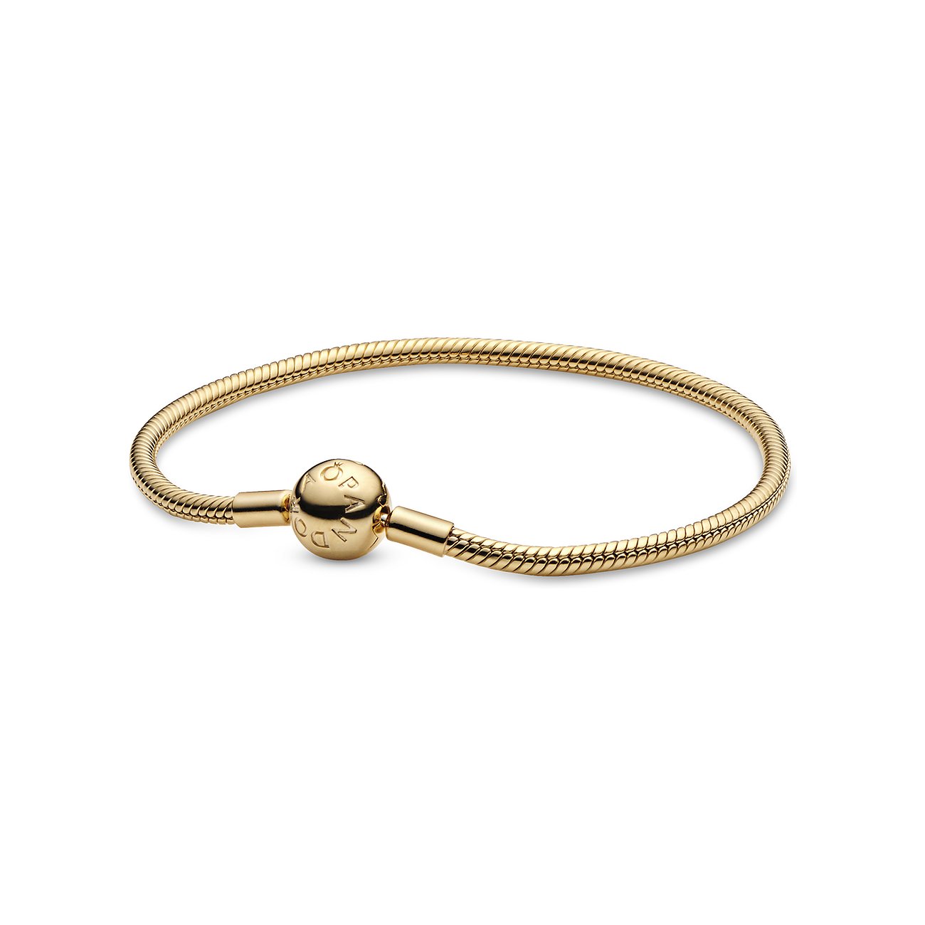 Pandora Armband Icons 568748C00-20
