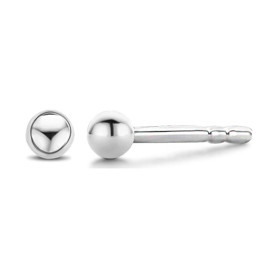 

Ti Sento - Milano Ohrstecker 7841SI 925er Silber