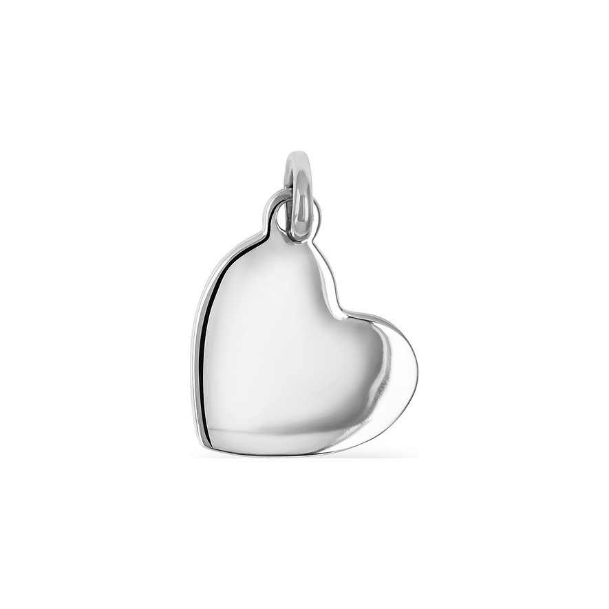 FAVS Pendentif 88386451