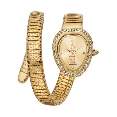 Just Cavalli Horloge-set in het Metallic Dames Accessoires voor voor Horloges voor 