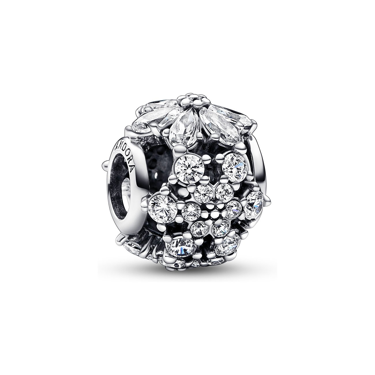 Pandora Charm Timeless 792383C01