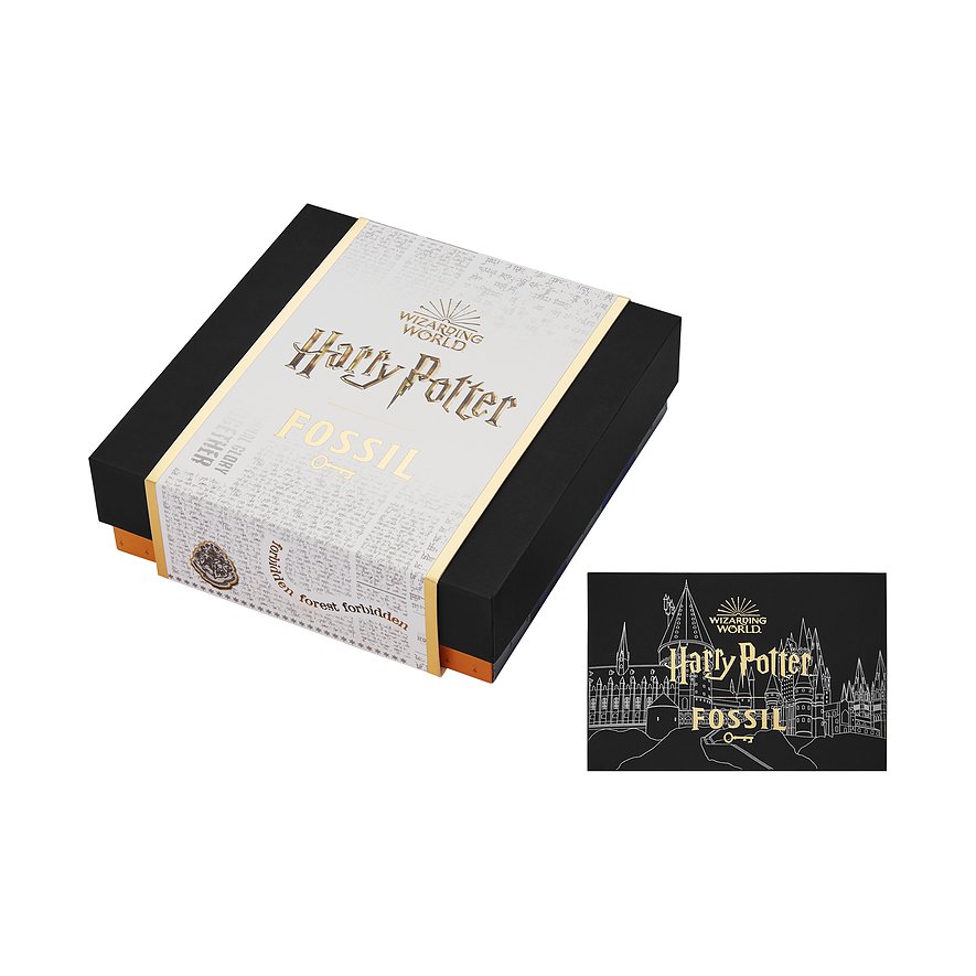 Fossil Chaînette Harry Potter JF04301710