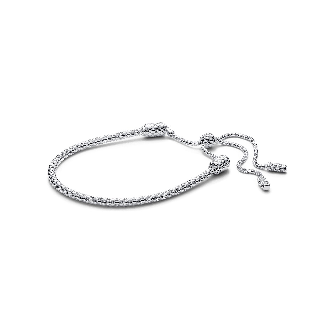 Pandora Armband Moments 593090C00-2