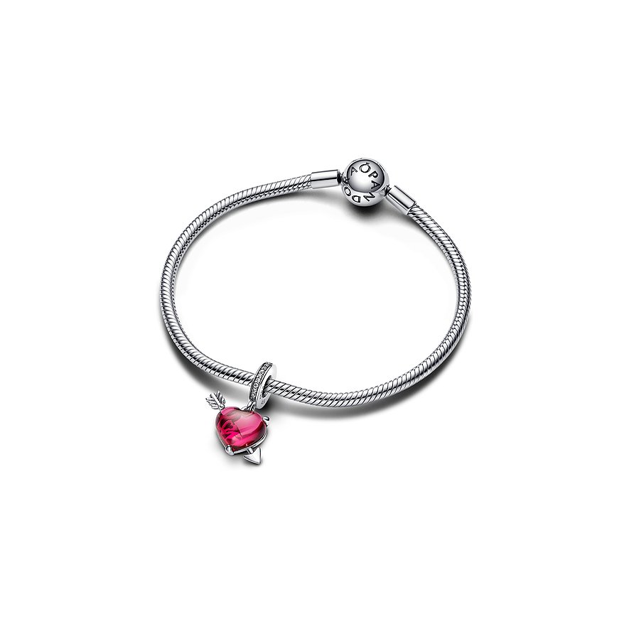 Pandora Charm Moments 793085C01