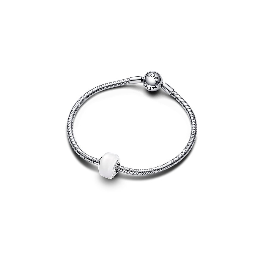 Pandora Charm Moments 793118C00