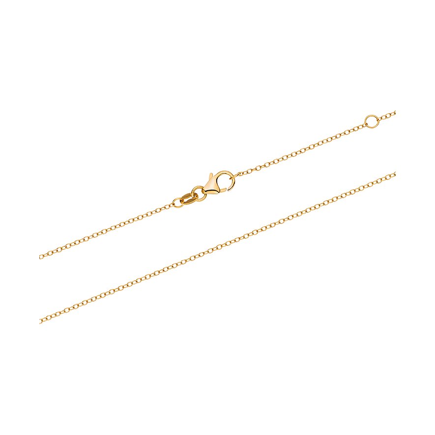 CHRIST Kette aus 585 Gelbgold mit Hummerverschluss.