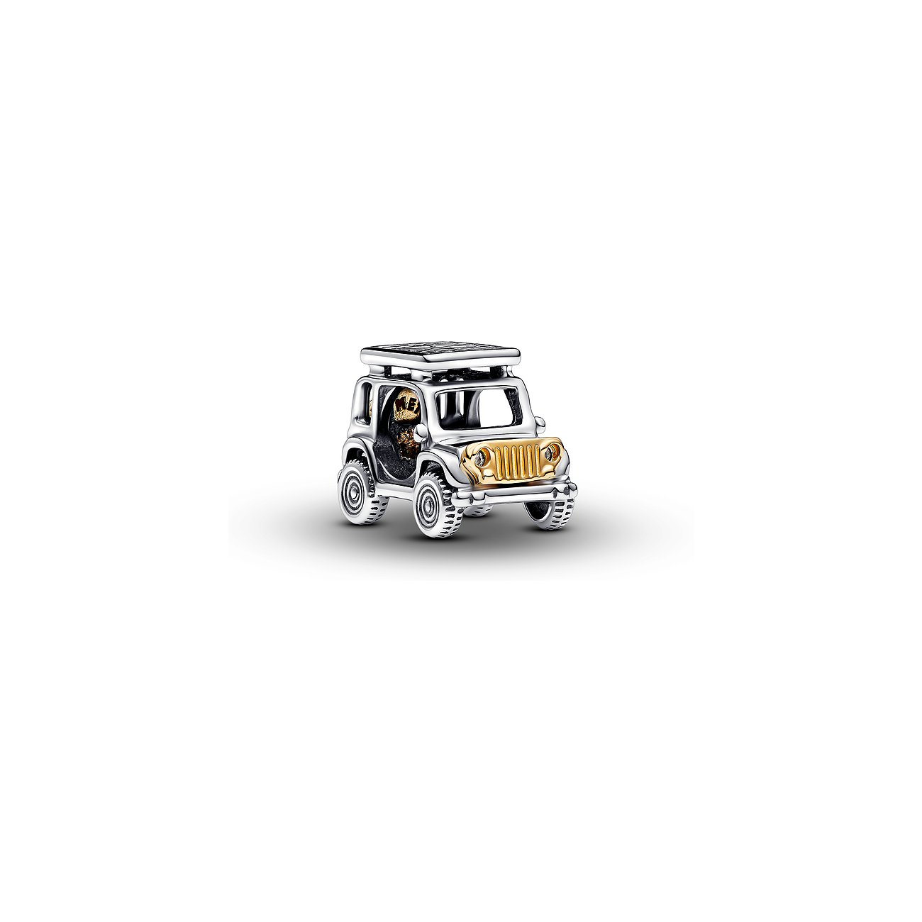 Pandora Charm Moments 763330C01