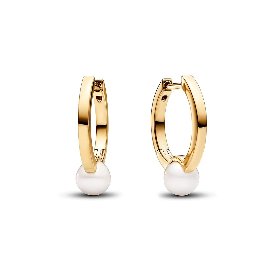 2. Chance - Pandora Creolen 263170C01