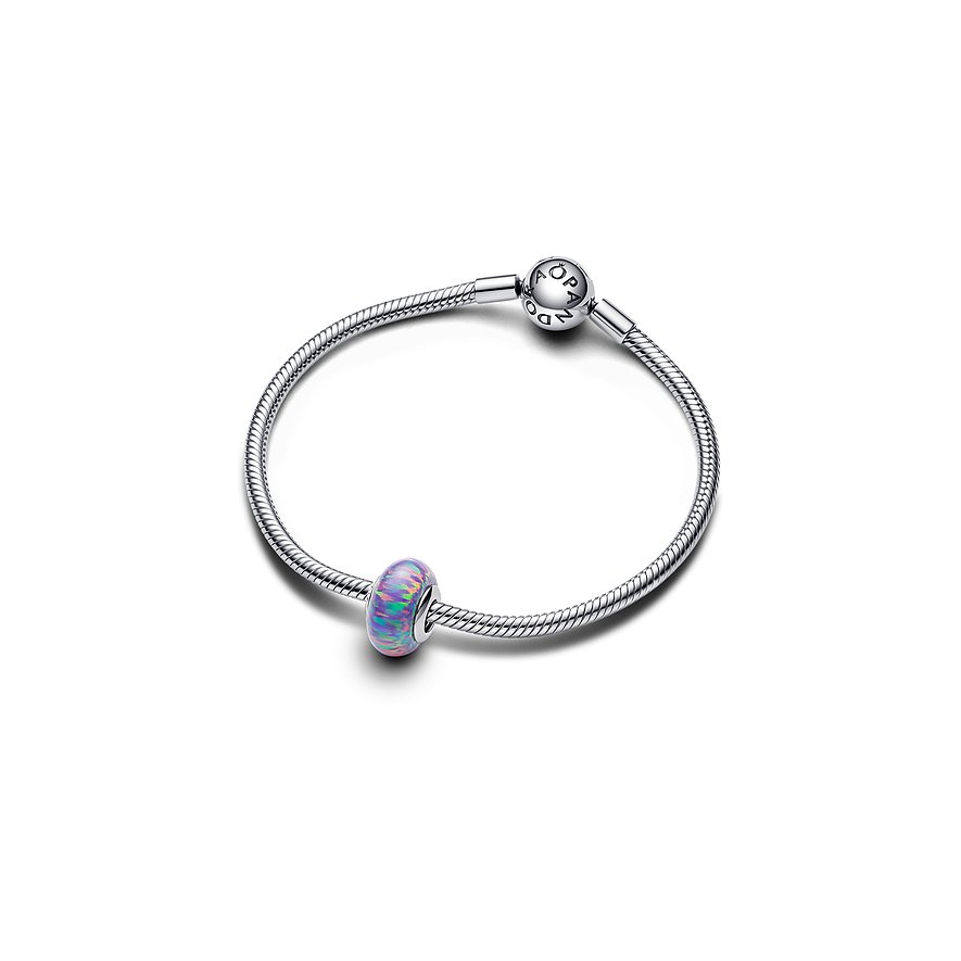 Pandora Charm Moments 791691C05