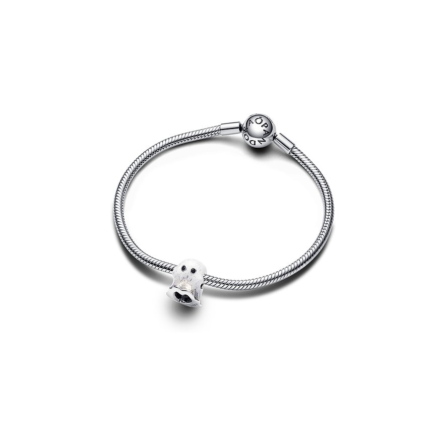 Pandora Charm Moments 793404C01