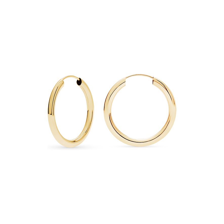 FAVS Ohrringe aus 375 Gelbgold, poliert.