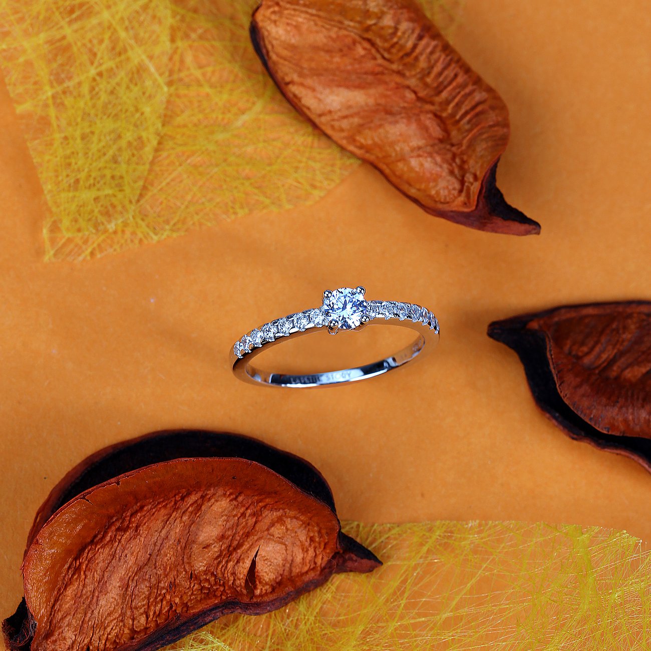 La Petite Story Ring aus 925er Silber mit Zirkonia.