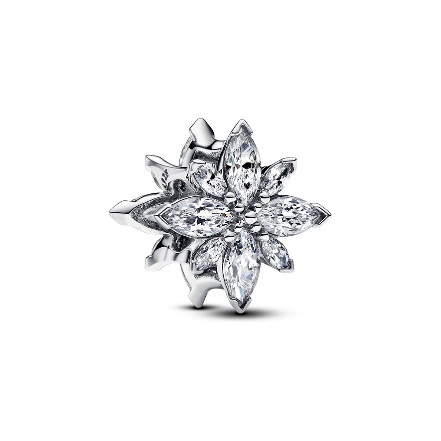 Pandora Charm Moments 793591C01