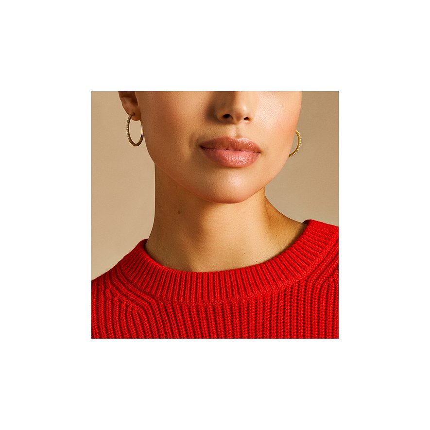 Fossil Ohrringe aus Metall mit Glassteinen.