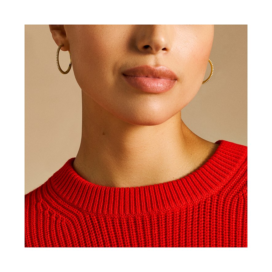 Fossil Ohrringe aus Metall mit Glassteinen.