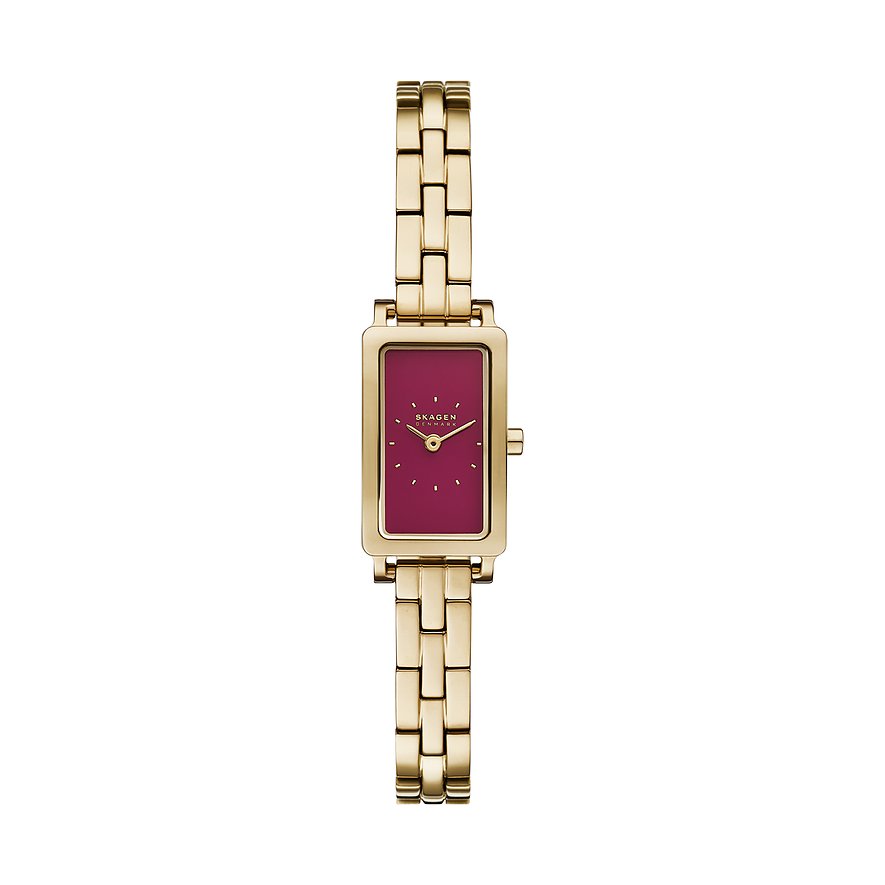 Skagen Montre pour femme HAGEN MICRO SKW3151
