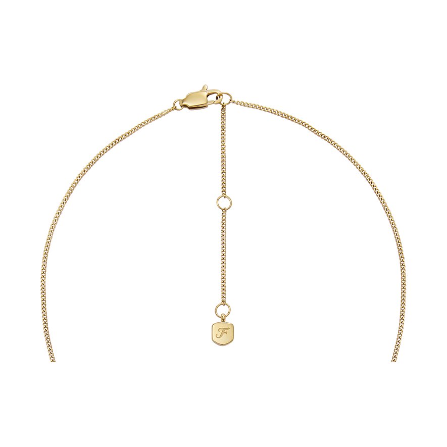 Fossil Halsschmuck aus Edelstahl mit Tigerauge und Karabinerverschluss.