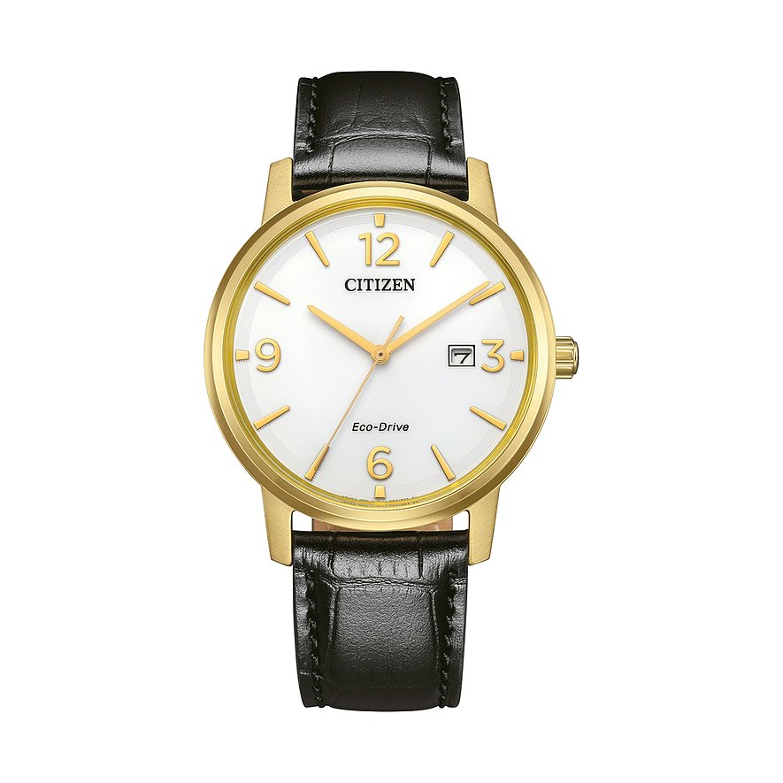 Citizen Herrenuhr Leder BM6756-01A, Herren, Edelstahl, Armband: Leder, Quarz