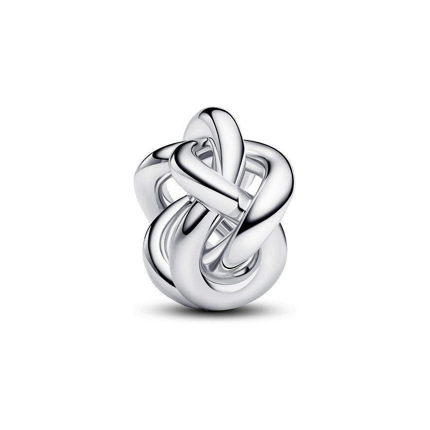 Pandora Charm Moments 793755C00