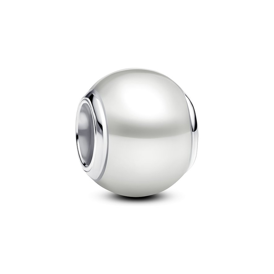 Pandora Charm Moments 793781C01